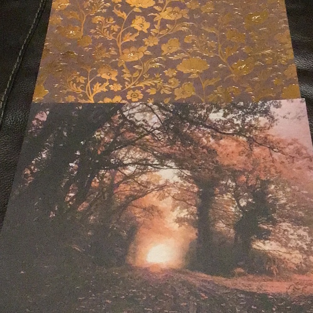 Autumn 🍂 Loose Scrapbook Paper Bundle - Picture 7 of 9